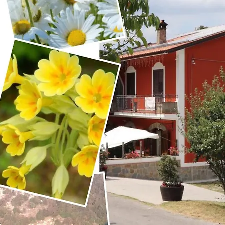 Villa Manca San Severino Lucano Extérieur photo