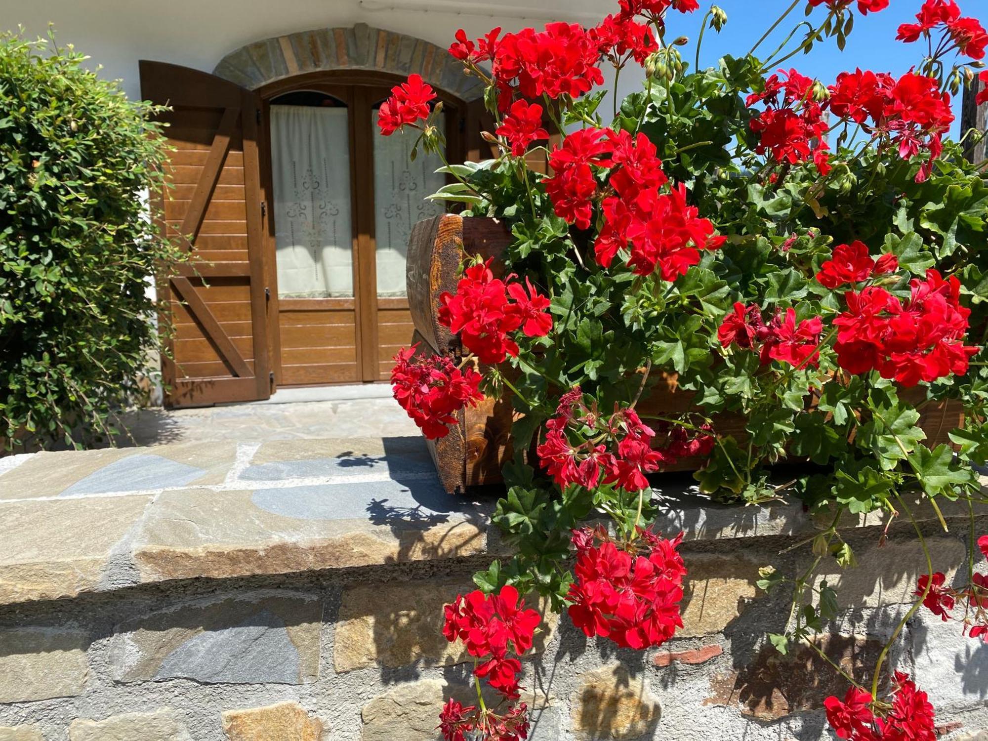 Manca Holiday home