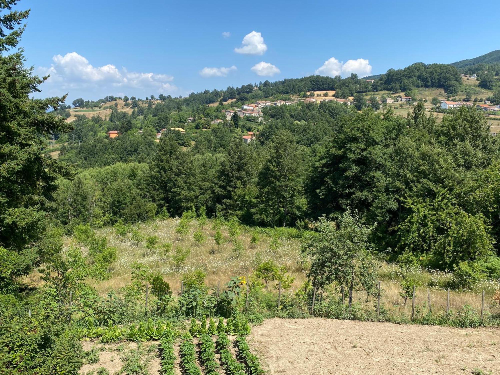 Holiday home Manca