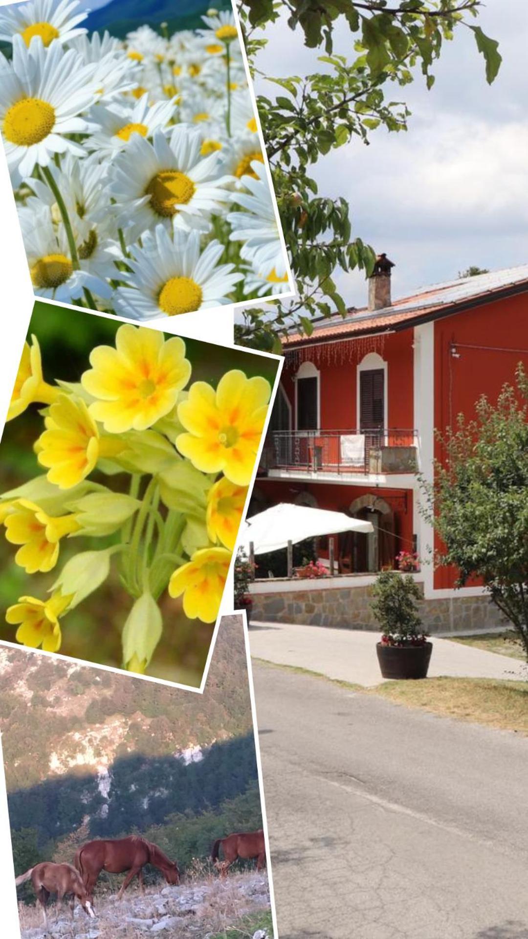 Manca San Severino Lucano